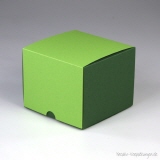 VARIO COLOR Klappdeckelbox 61