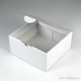 Klappdeckelbox 215 - Gr&ouml;&szlig;e 01 wei&szlig; offen
