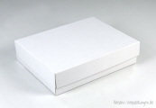 Klappdeckelbox 216 - Gr&ouml;&szlig;e 05 wei&szlig;